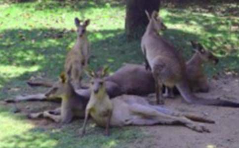 ����Ĵ�����ס��һ����˯ǰ����