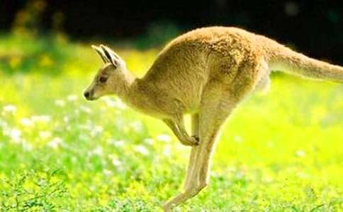 ��������û�ڴ�˯ǰ����