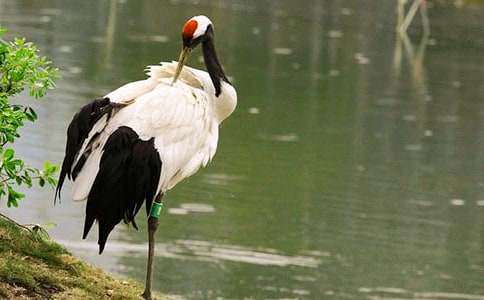 ����������600��