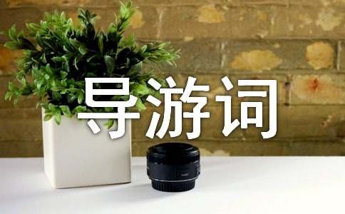 �����������δ�����300����ƪ