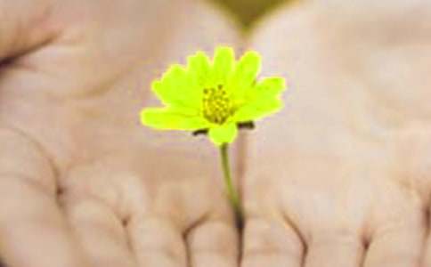 【推荐】英文道歉信三篇