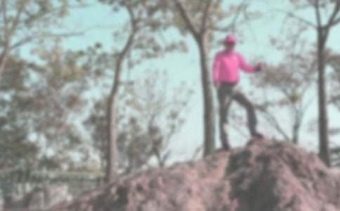 ��ɽ����600�ַ���[4ƪ]