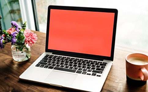 ������������˵����������ƪ