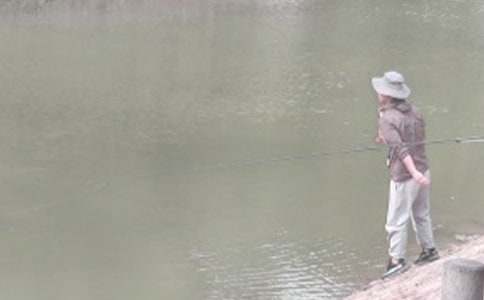 ��ѡ�������ʾ������ƪ