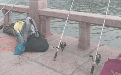 小猫钓鱼童话作文8篇