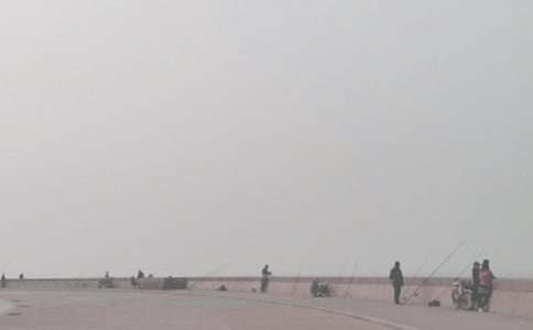 【精选】钓鱼的启示作文600字3篇