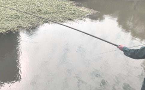 钓鱼的启示优秀作文