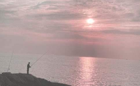 中班《小猫钓鱼》教案