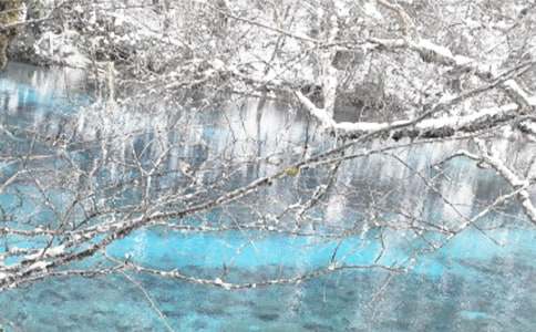 С�ඬ�����Խ̰�