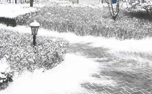 冬季防凝冻心得体会范文