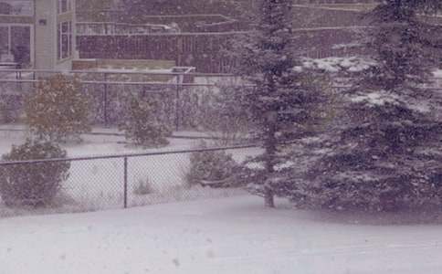 ��ѡ�������������600�ְ�ƪ