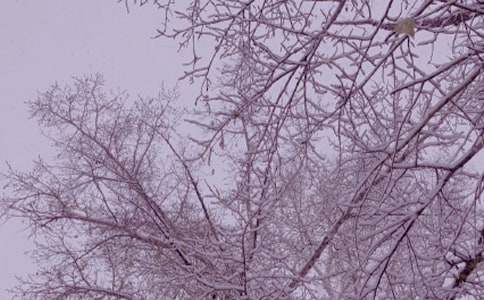 冬日里的阳光作文(集锦15篇)