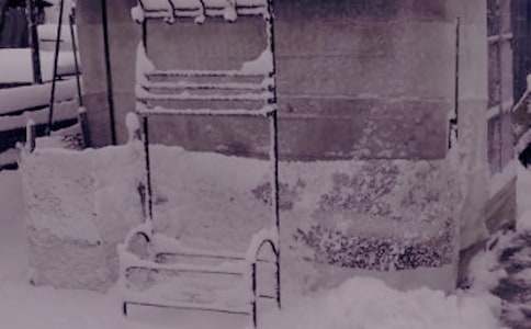 冬日的阳光作文(15篇)