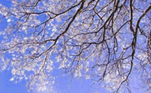 冬天写景作文(精)