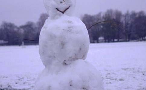 冬天的花的作文600字五篇