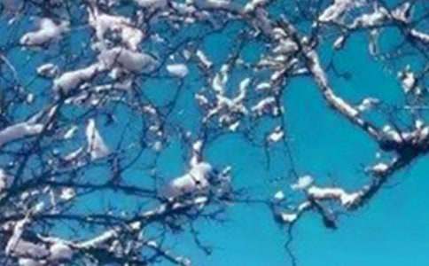 写景冬天作文【精品】