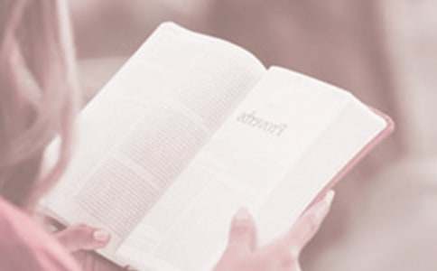 [ʵ��]��������������ݽ���