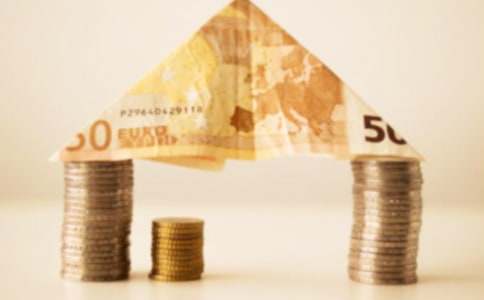 我的植物朋友作文——发财树