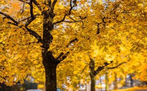 �羰�����ĵط�����15ƪ������