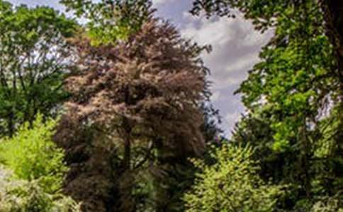 �羰�����ĵط����ġ���ѡ15ƪ��