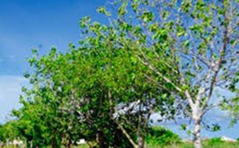 ����ѡ���羰�����ĵط�����15ƪ