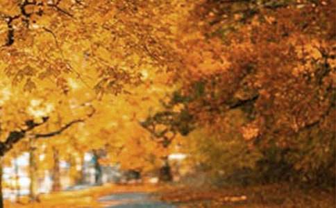 �йط羰�����ĵط����Ļ��ܾ�ƪ