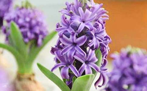 �����ķ���������ͨ��