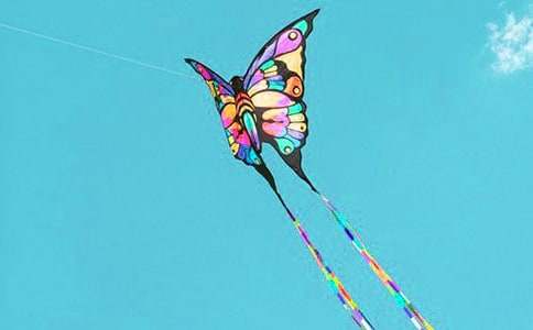 [��ѡ]�ŷ��ݿ�ͼ����