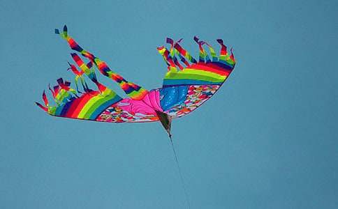 精选理想的风筝作文300字4篇