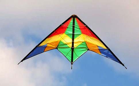 美丽的风筝的作文600字6篇