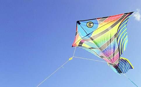 理想的风筝作文300字4篇