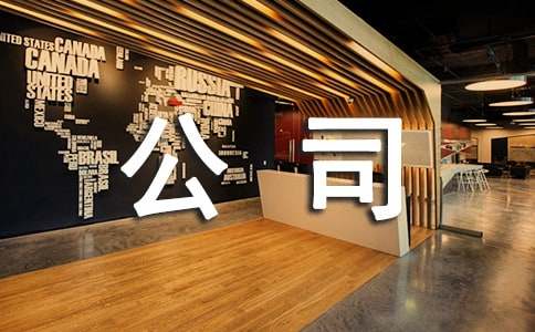 ��ҵ��˾�����ܽ�[����]