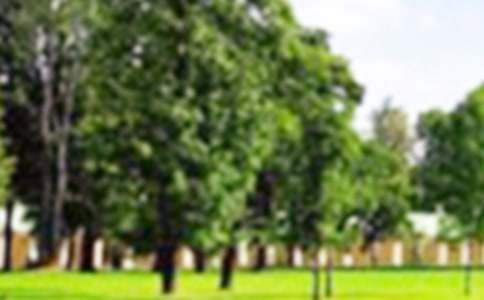 唐山南湖公园作文【热门】