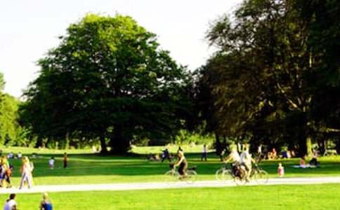 游和平公园作文(3篇)