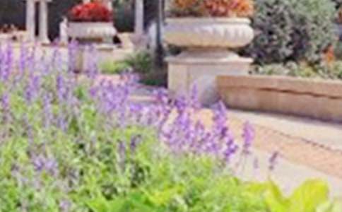 游马头山公园作文