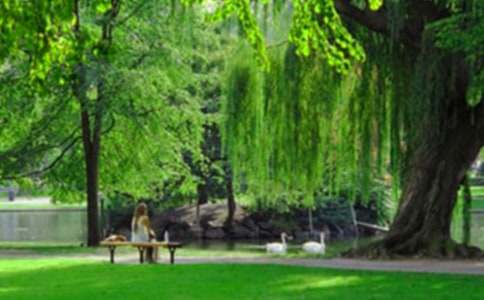 唐山南湖公园作文集合10篇