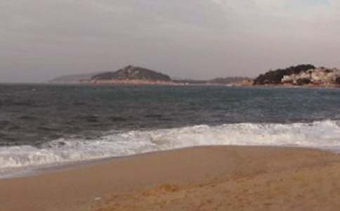 �����㡿�����Ź���������