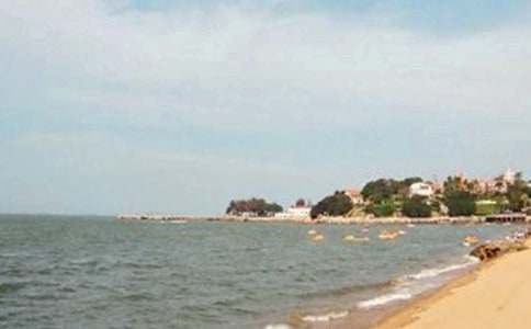 ���Ź������μ�����(4ƪ)