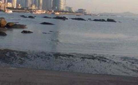 厦门鼓浪屿小学作文汇总五篇