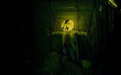 �ҵ��Ķ�����������֮������