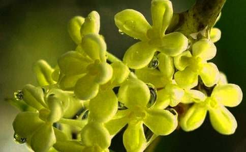 �ҼҵĹ������ģ���ѡ89ƪ��