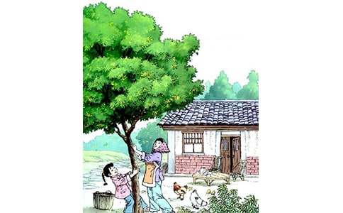 ��������300����ƪ