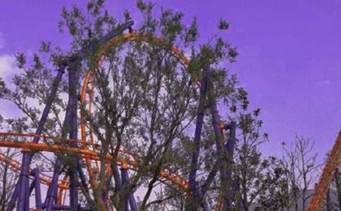 第一次坐过山车作文(精选15篇)