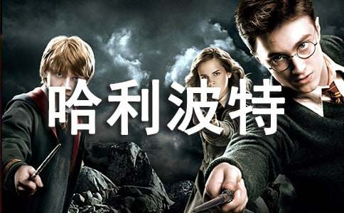 ��������Ӣ�Ĺۺ��