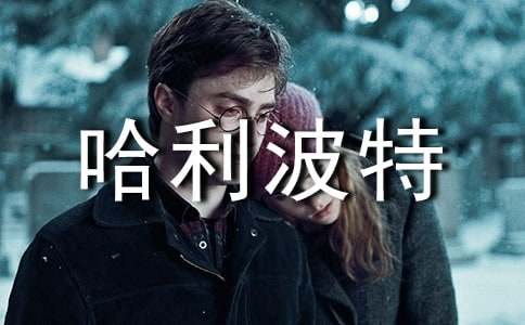 �������عۺ��800��