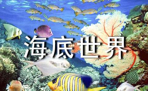 大班《海底世界》教案