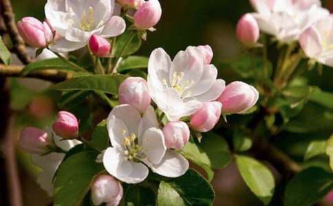 ���㺣�Ĺۺ�С��Ƽ���