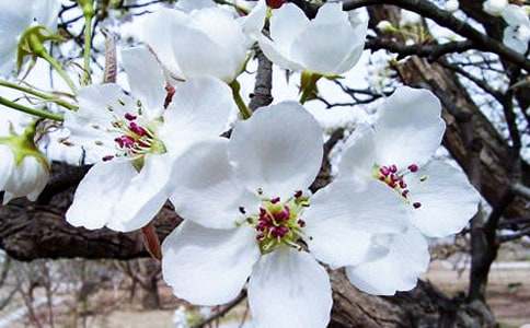 ���㺣�ĵĹۺ��(15ƪ)