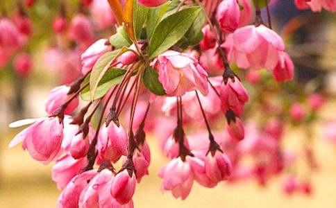 �����㺣�ġ��Ĺۺ��