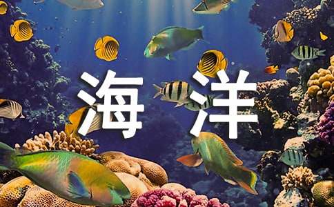 精选海洋动物的作文合集5篇
